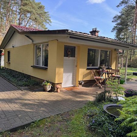 Ferienhaus Im Wald Borkwalde Экстерьер фото