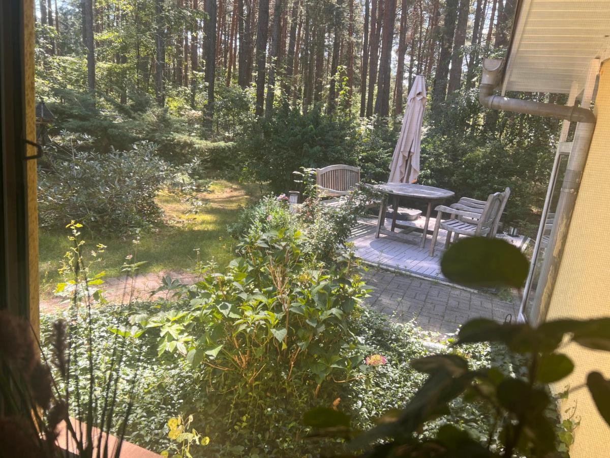 Ferienhaus Im Wald Borkwalde Экстерьер фото