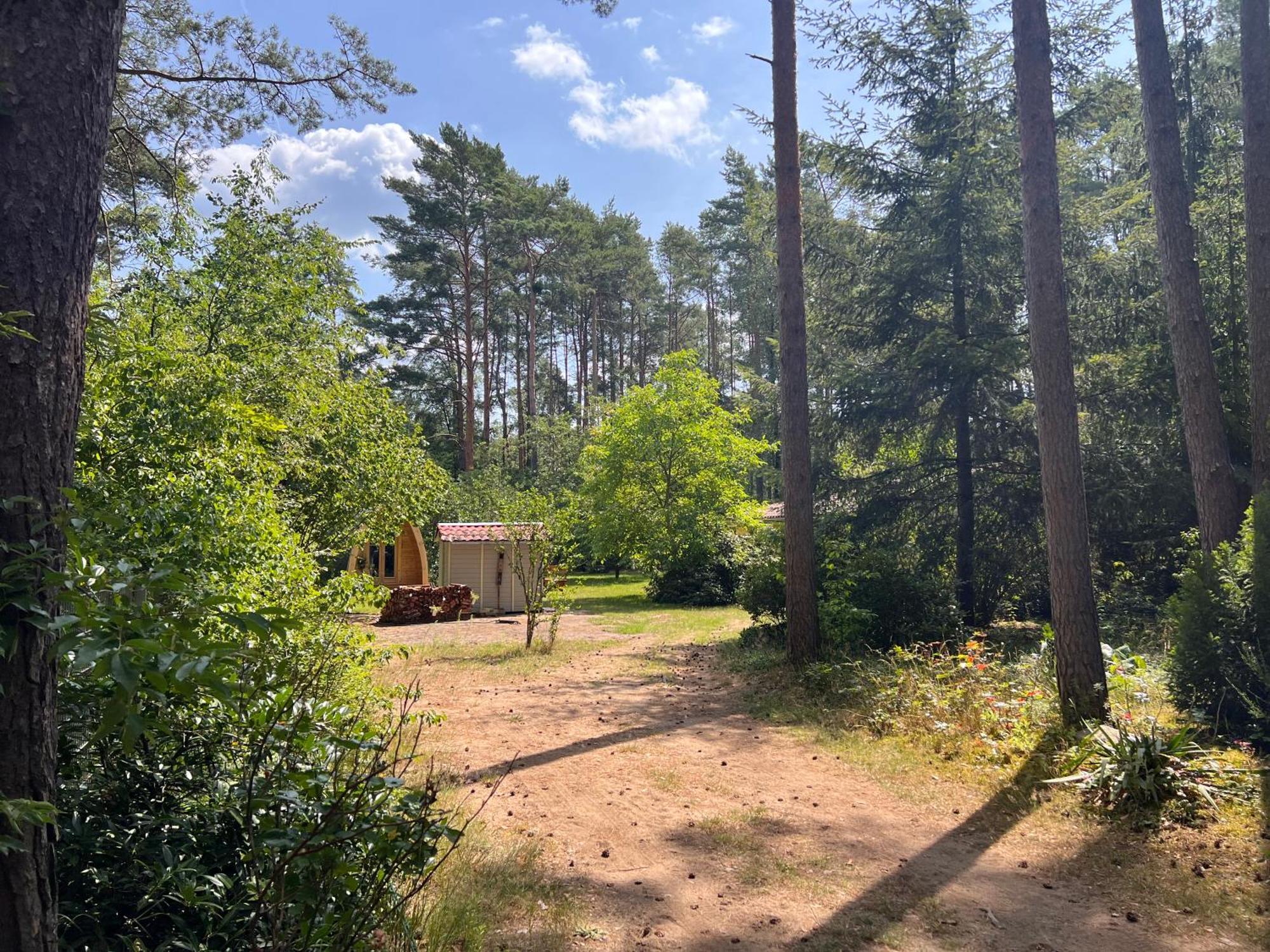 Ferienhaus Im Wald Borkwalde Экстерьер фото